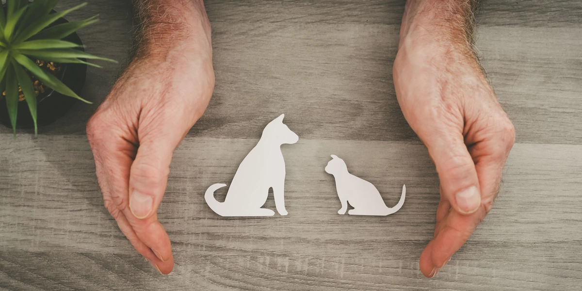 @Assurance maladie animaux