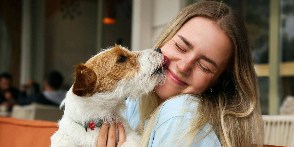 @ animaux de compagnie