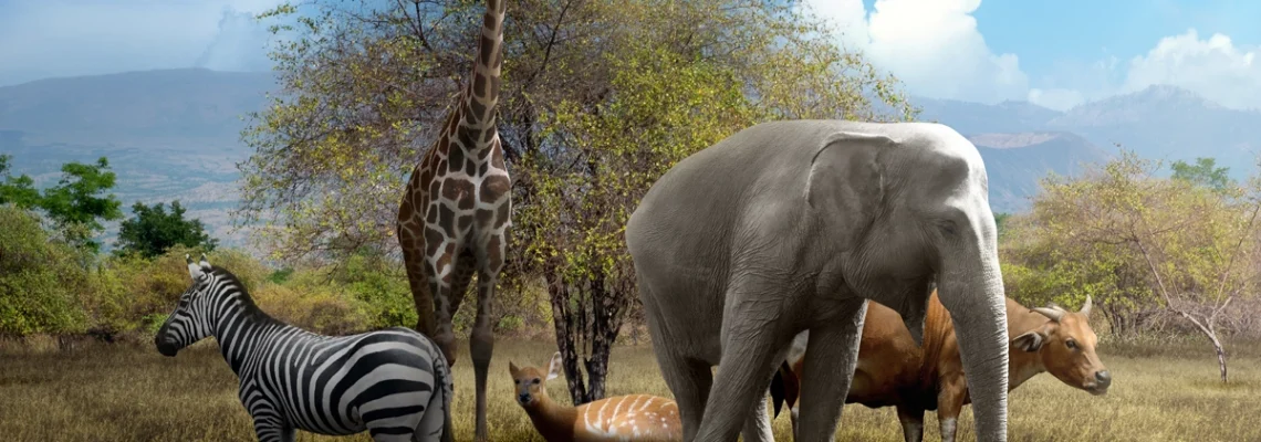 @soutenir conservation animaux sauvages