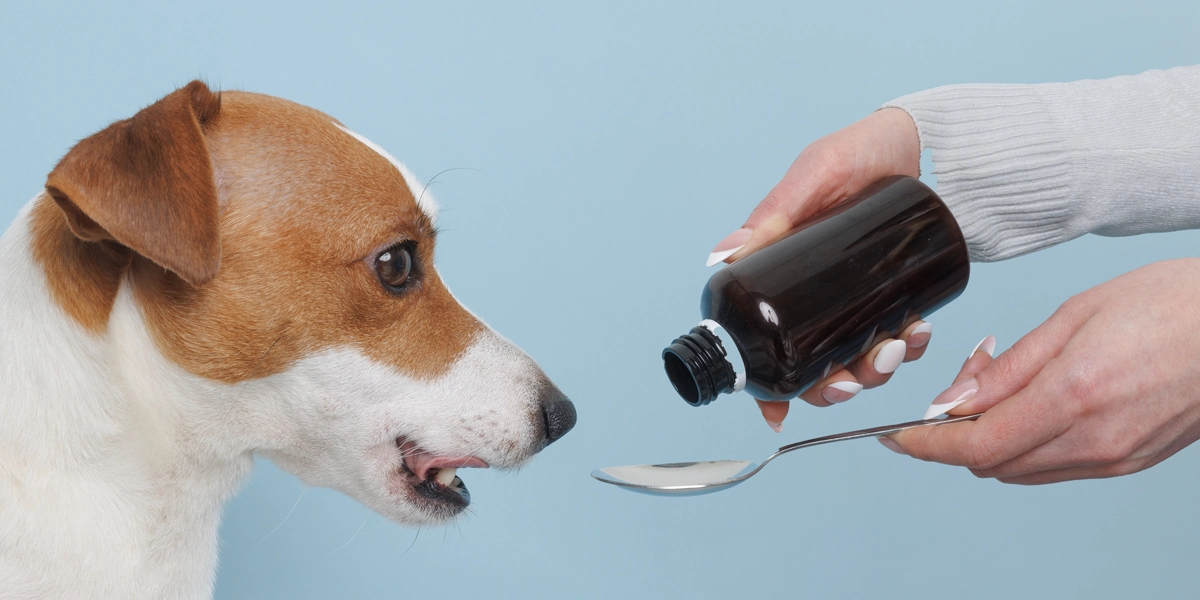 @traitement antiparasitaire