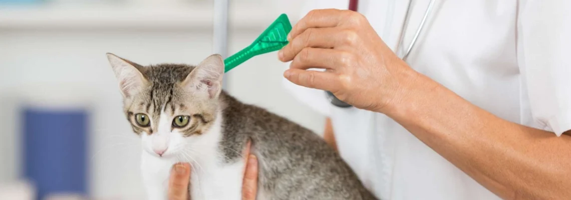 @vermifuges pour chats